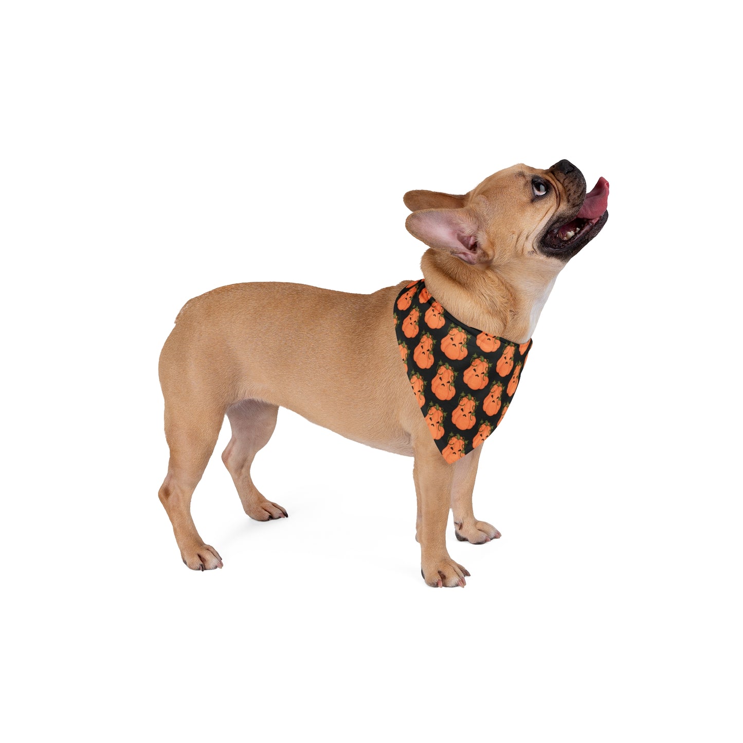 Angry Pumpkin Pet Bandana