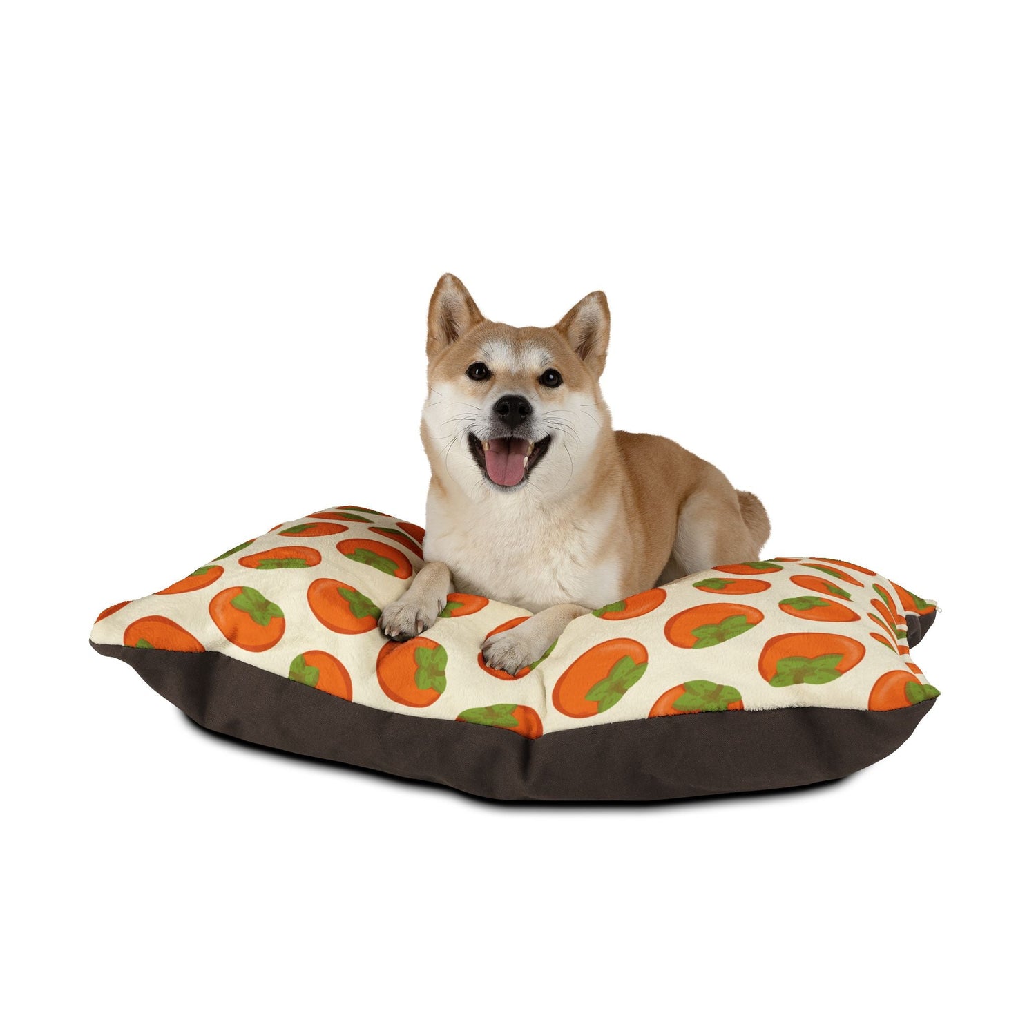 Pet Accessories